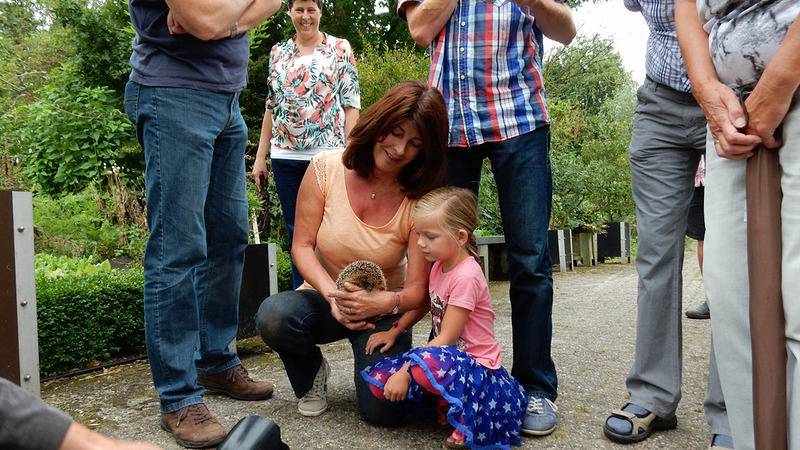 Beestjesdag op 9 augustus bij Hortus Alkmaar