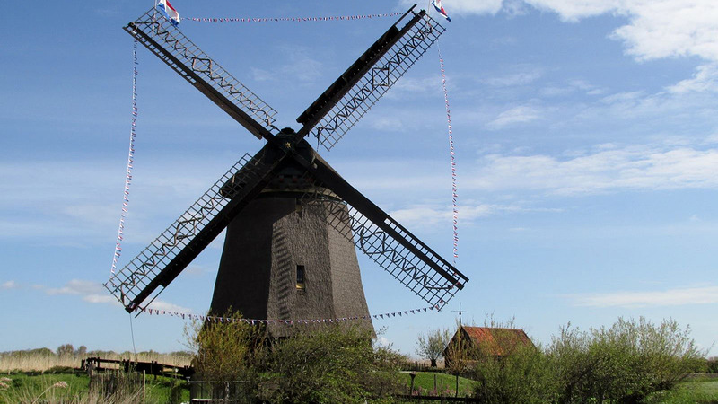 BEM Zomerfestijn bij de Bosmolen met ontbijt, beestenboel en machines