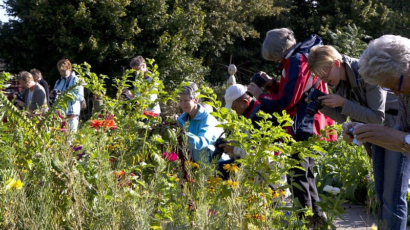 Cursus (beter) leren fotograferen in Hortus Alkmaar