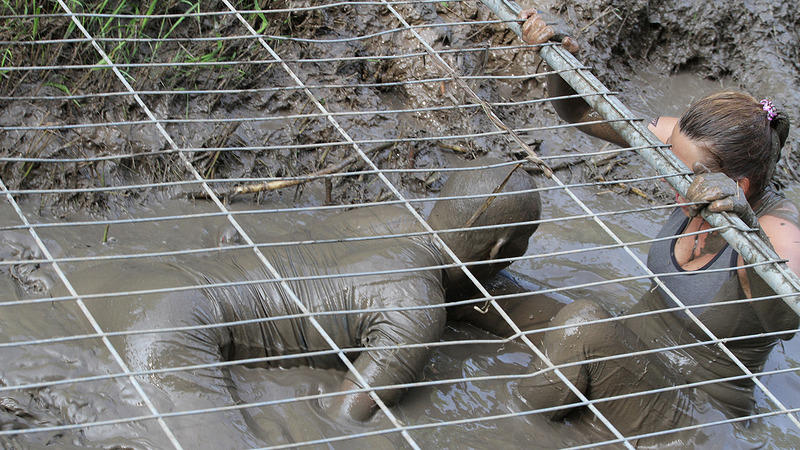 Geestmerambacht in ban van tweede editie Bootcamp Obstacle Run