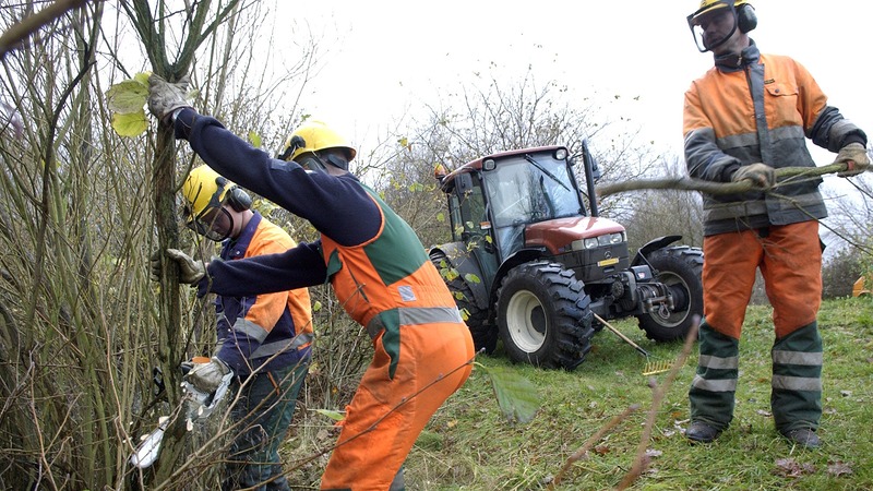 Meedoen aan groen Alkmaar tijdens landelijke Natuurwerkdag