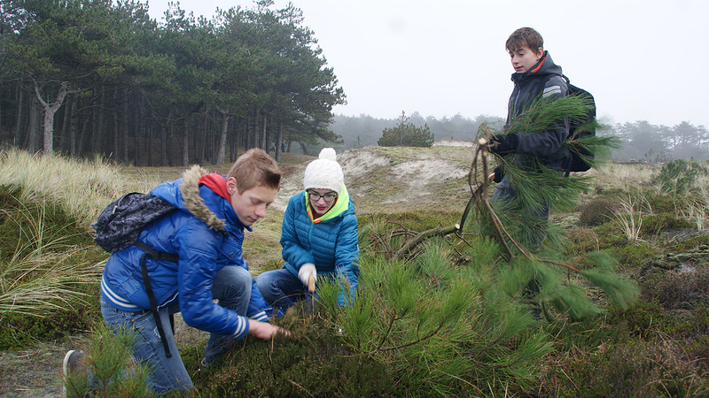 PCC-leerlingen helpen boswachters Schoorlse duinen tijdens Respectweek