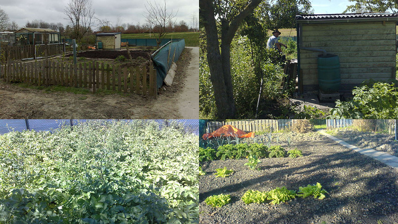 Cursus moestuin aanleggen bij volkstuindersvereniging Langedijk