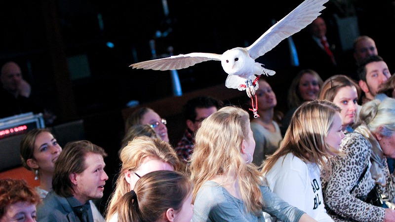 Mix van traditie en trends bij 3e editie Trouwbeurs Alkmaar