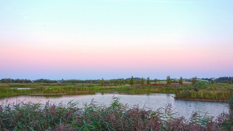 Winterse wandeling met natuurgidsen door Park van Luna