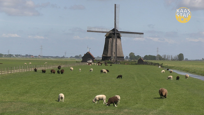 Vierde aflevering De Kaasstad: het Land van Leeghwater