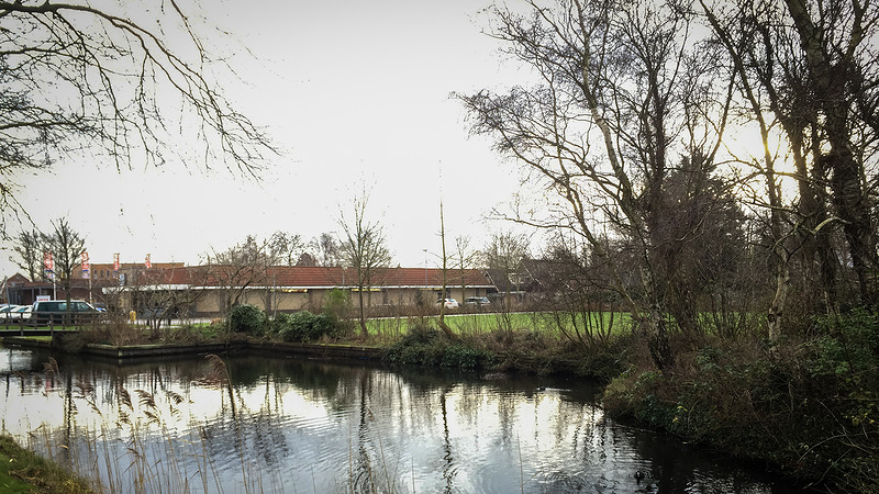 Wethouder: 'Bomen langs Voorburggracht mochten wel worden gekapt