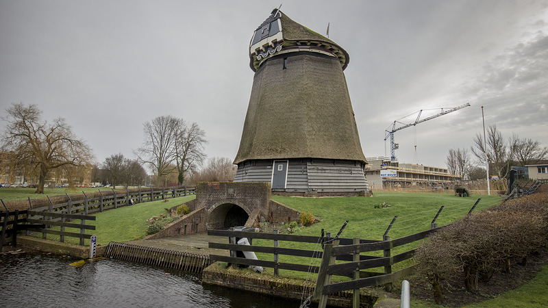 Geestmolen krijgt voor half mei nieuwe wieken