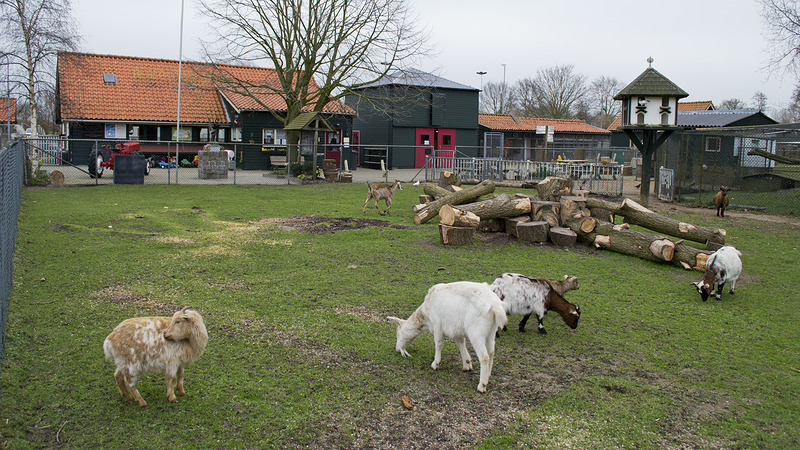 Kinderboerderij De Beestenboel plotseling 40 procent minder subsidie