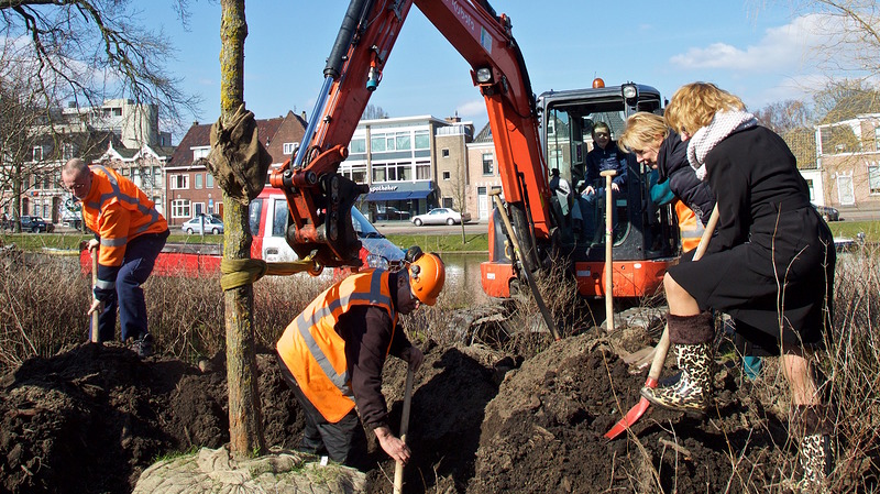 Wethouder plant nieuwe boom op Nationale Boomfeestdag