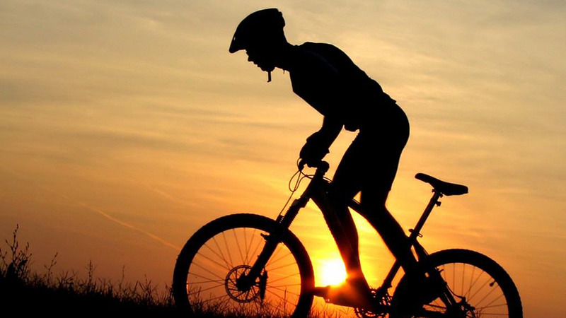 Raad van State verbiedt vernieuwd mountainbikeparcours Schoorlse Duinen