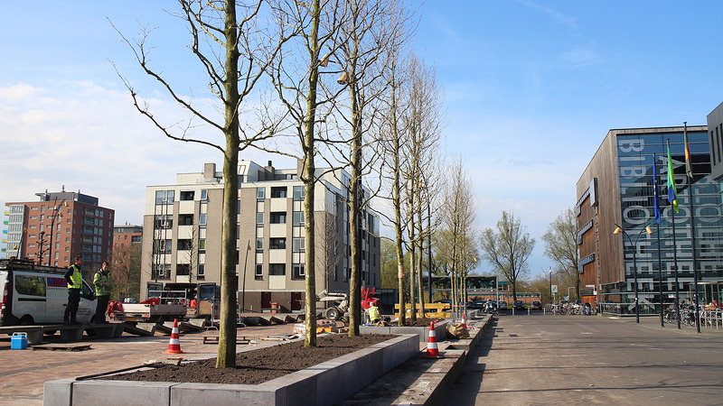 Bomen vergroenen Stadsplein Heerhugowaard