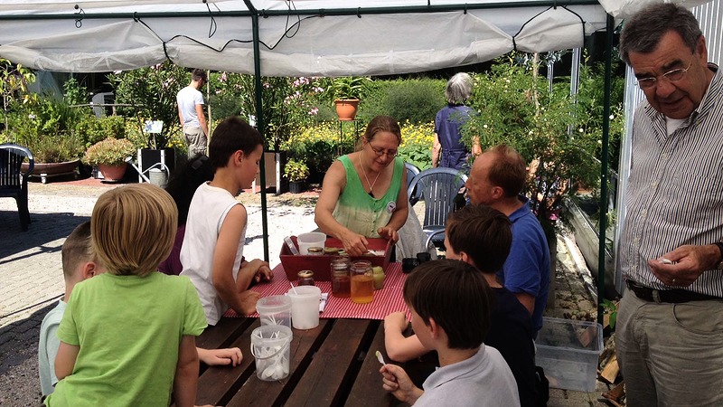 Kinderworkshop bijen en honing in Hortus Alkmaar