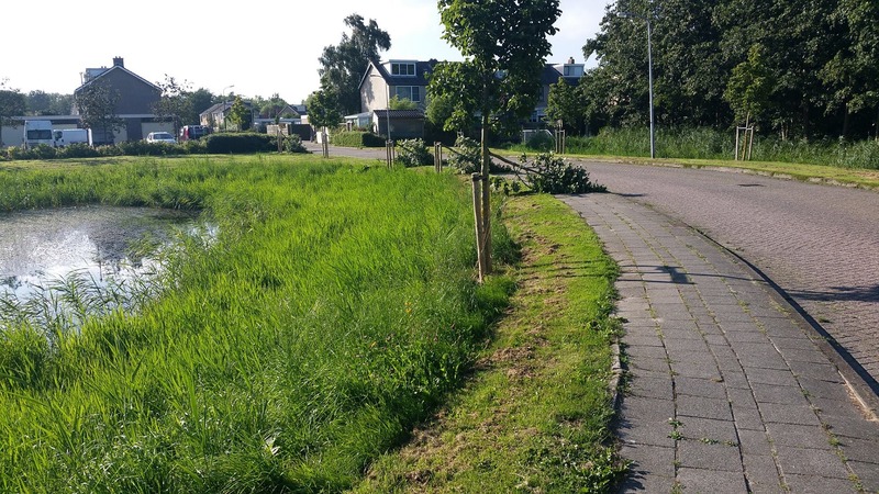 Politie verzoekt bomenknakkers om schade te vergoeden