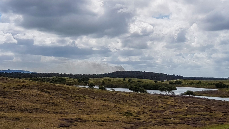 Brand in Schoorlse duinen blijkt aangestoken
