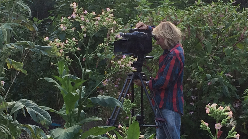 Hortus Alkmaar bij tv-programma BinnensteBuiten