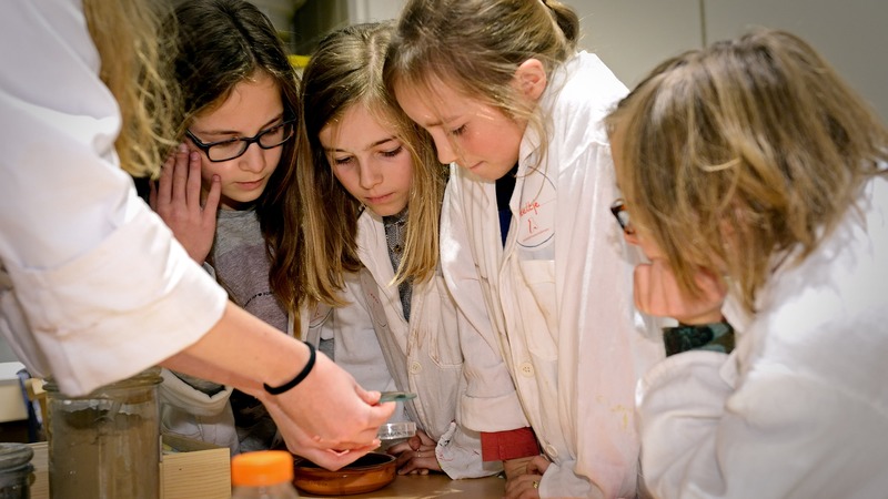 Leuke gezinsactiviteiten in het museum tijdens de kerstvakantie