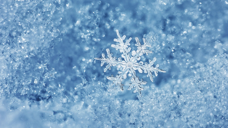 Koning Winter ook even in Langedijk, dus code geel