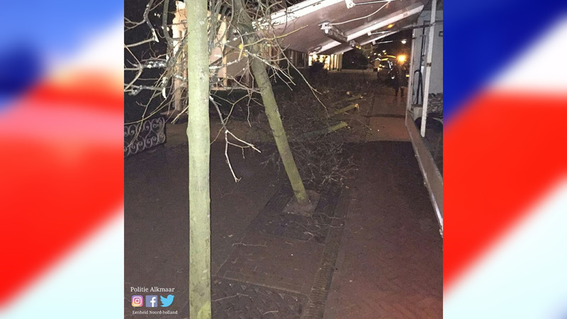Chauffeur rijdt met open zijklep bord en bomen om