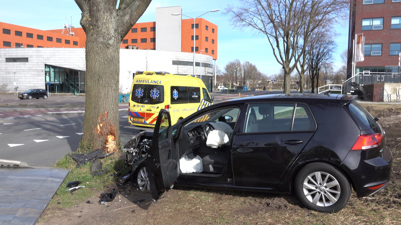 Golf knalt tegen boom op Kruseman van Eltenweg