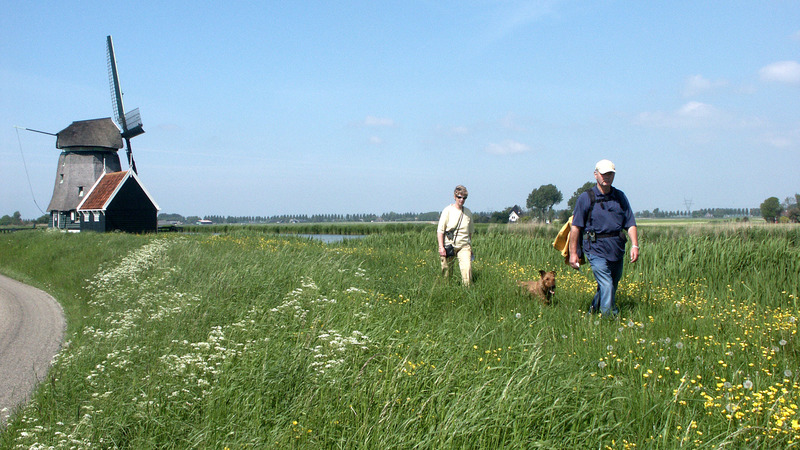 Alkmaar genomineerd voor titel 'Wandelgemeente van het jaar