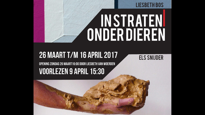 Nieuwe expositie 'In straten | Onder dieren' van |elders in Koel310