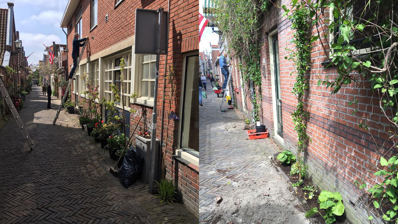 Bewoners kleuren het Fnidsen groen