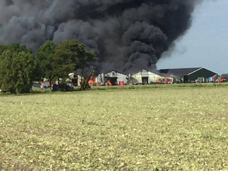 Enorme schade door megabrand Egmond aan den Hoef