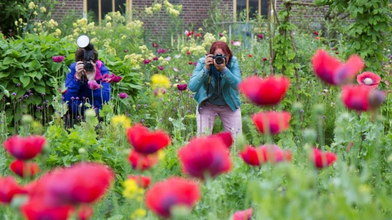 Opfrisworkshop fotografie in Hortus Alkmaar ?