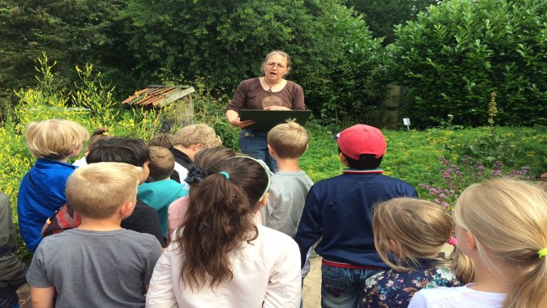 Kinderworkshop bijen en honing bij Hortus Alkmaar ?