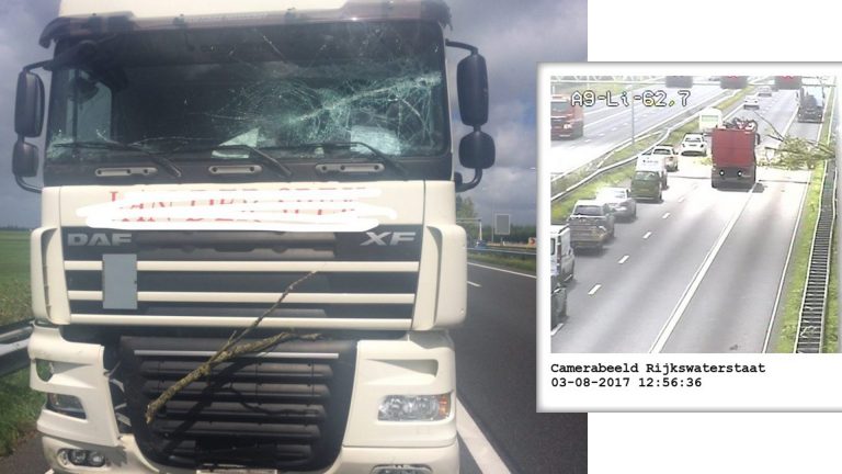 Omwaaiende boom raakt vrachtwagen op A9