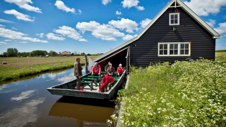 Op zoek naar eetbare planten in de Eilandspolder ?