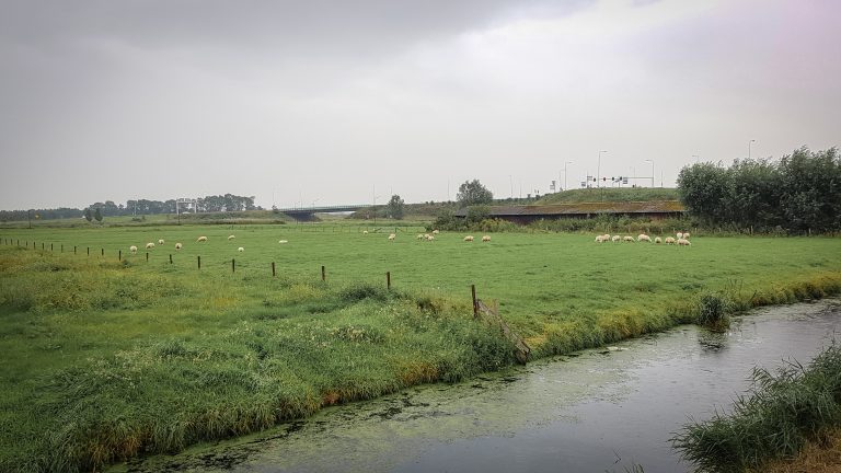 Volkstuinen mogelijk aan zuidelijk eind Middenweg