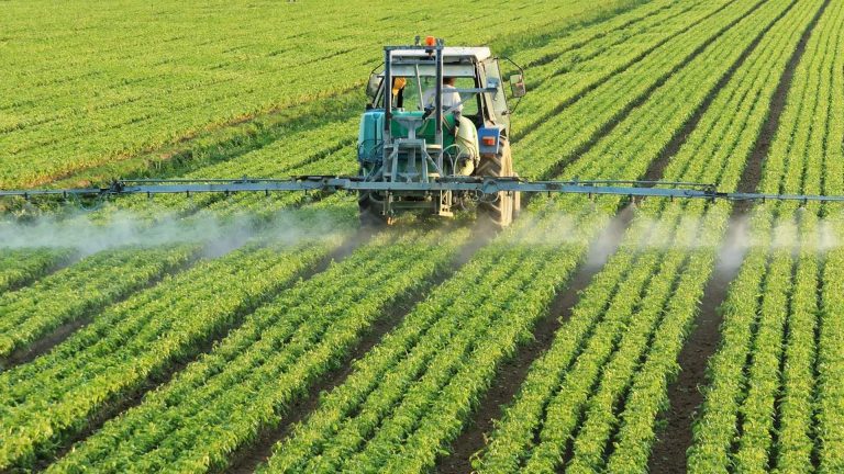 Boeren Noord-Holland ongerust over dreigend verbod onkruidgif