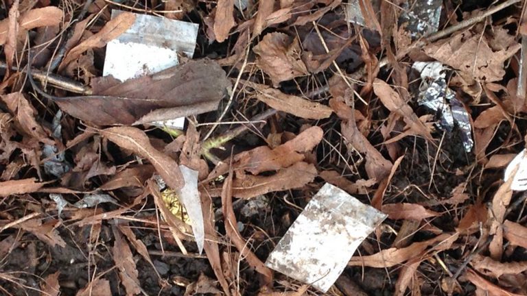 Aso-wet aangenomen, maar drugsverbod zorgt voor verdeeldheid