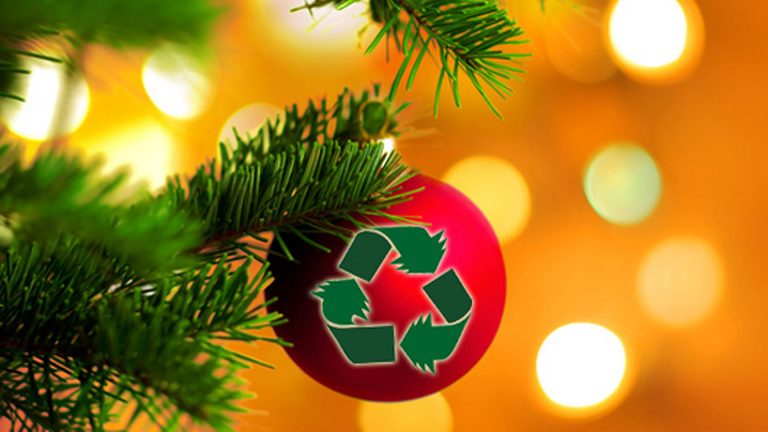 Zakcentje verdienen met inzamelen kerstbomen in Langedijk