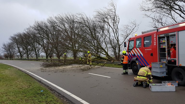 Ring West Alkmaar afgesloten door omgewaaide boom