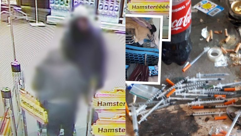 Winkeldiefstal AH De Mare leidt naar junkspand in Rietdekkerstraat