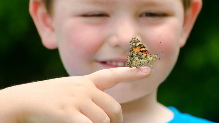 Lekker naar buiten in de meivakantie met Natuur Gids Alkmaar