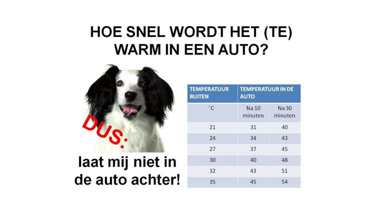 Hond uit hete auto gered onder andere in Ursem