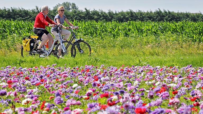 Fiets4daagse komt terug naar Alkmaar ?