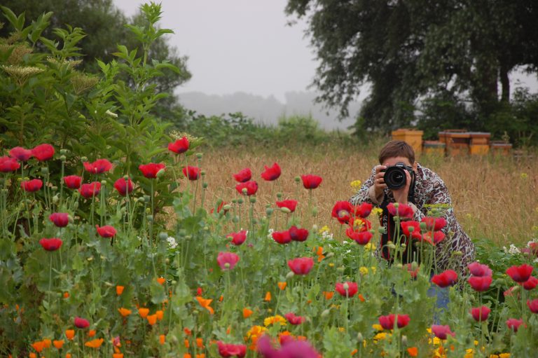 Hortus Alkmaar organiseert fotografiecursus voor beginners ?