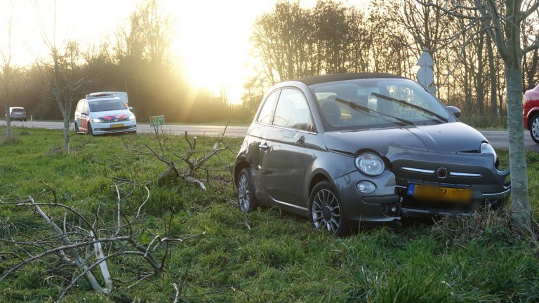 Man met kinderen aan boord ramt bomen bij uitwijkmanoeuvre op N9