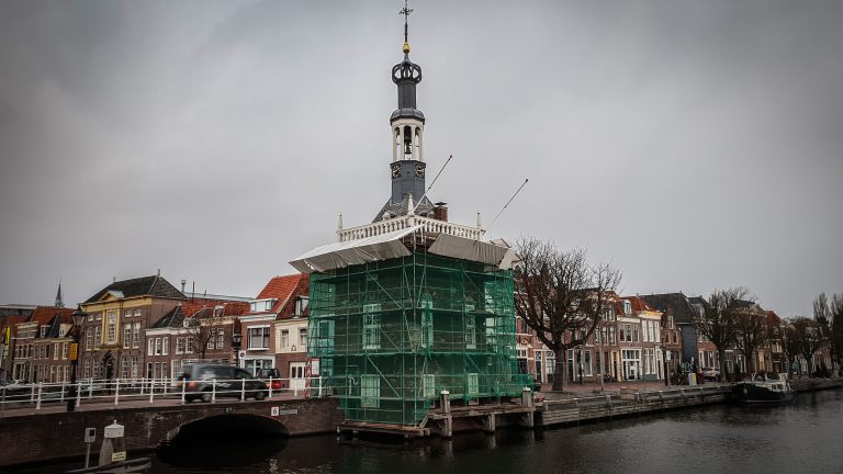 Het duivenmysterie van de Accijnstoren: ze zijn gejat