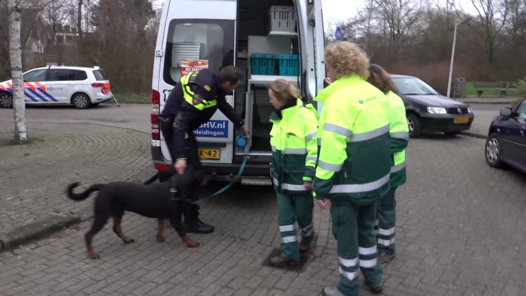 Vijfjarig Alkmaars meisje ernstig gewond door aanval van Rottweiler