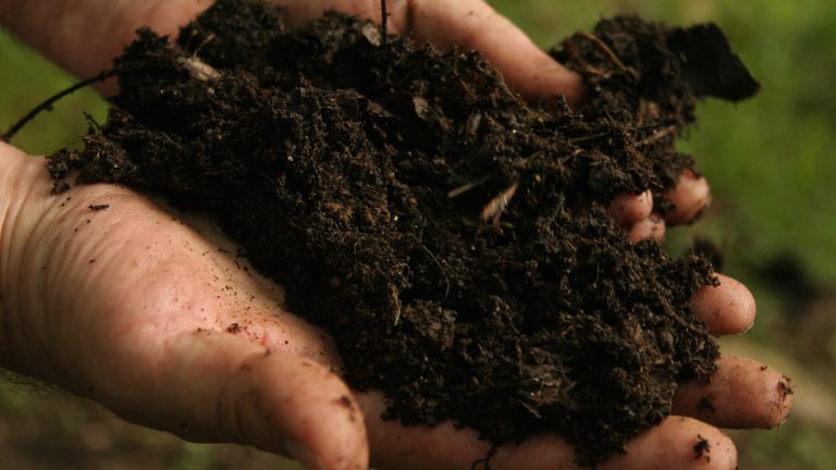 Gratis compost ophalen bij gemeentewerf ?