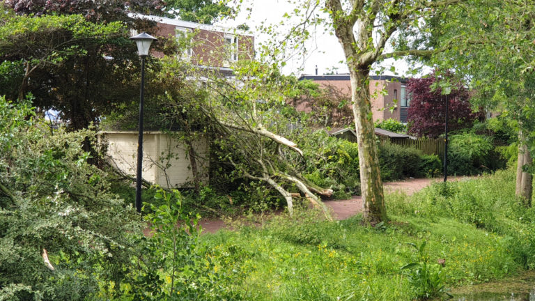 Gemeente Heerhugowaard: meld stormschade