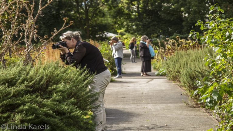 Vijfdelige beginnerscursus fotografie bij Hortus Alkmaar ?