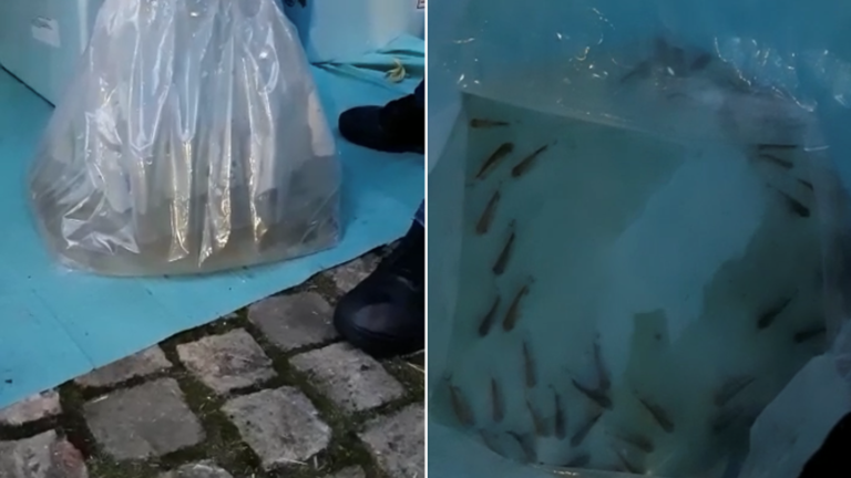 Alkmaarder en handlangers opgepakt tijdens groot drugstransport vanaf Schiphol