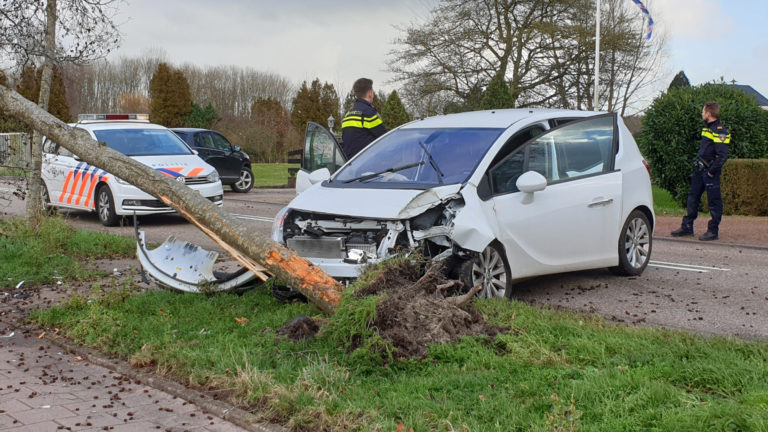 Auto ramt boom op Jan Glijnisweg nabij Mijzenpad